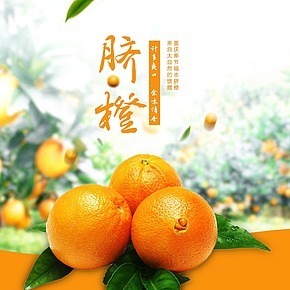 食品零食水果重庆奉节脐橙橙子