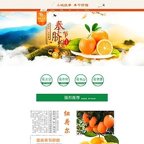 食品零食水果橙子橘子柠檬休闲零食首页食品中国风